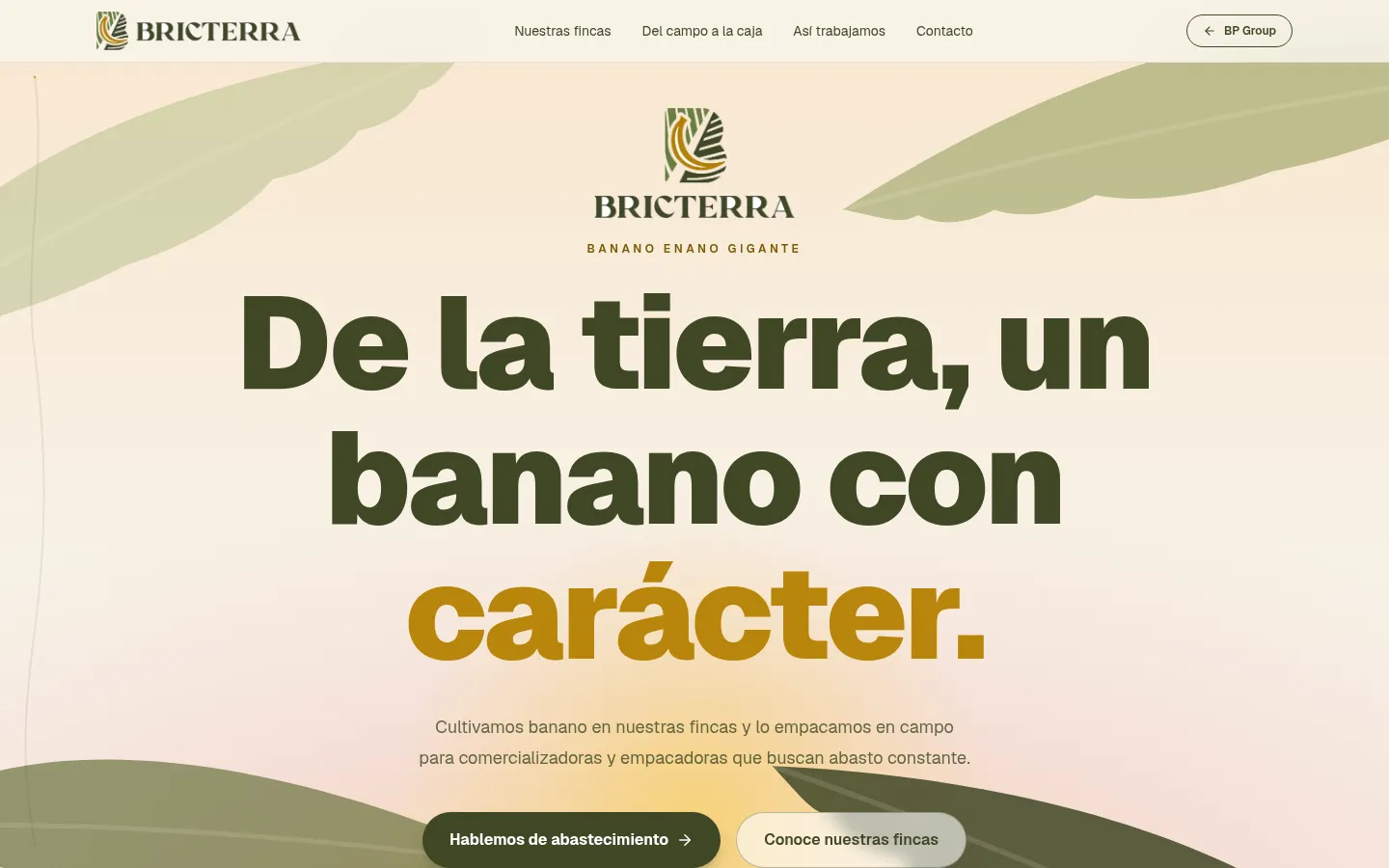Captura de BP Group · BricTerra
